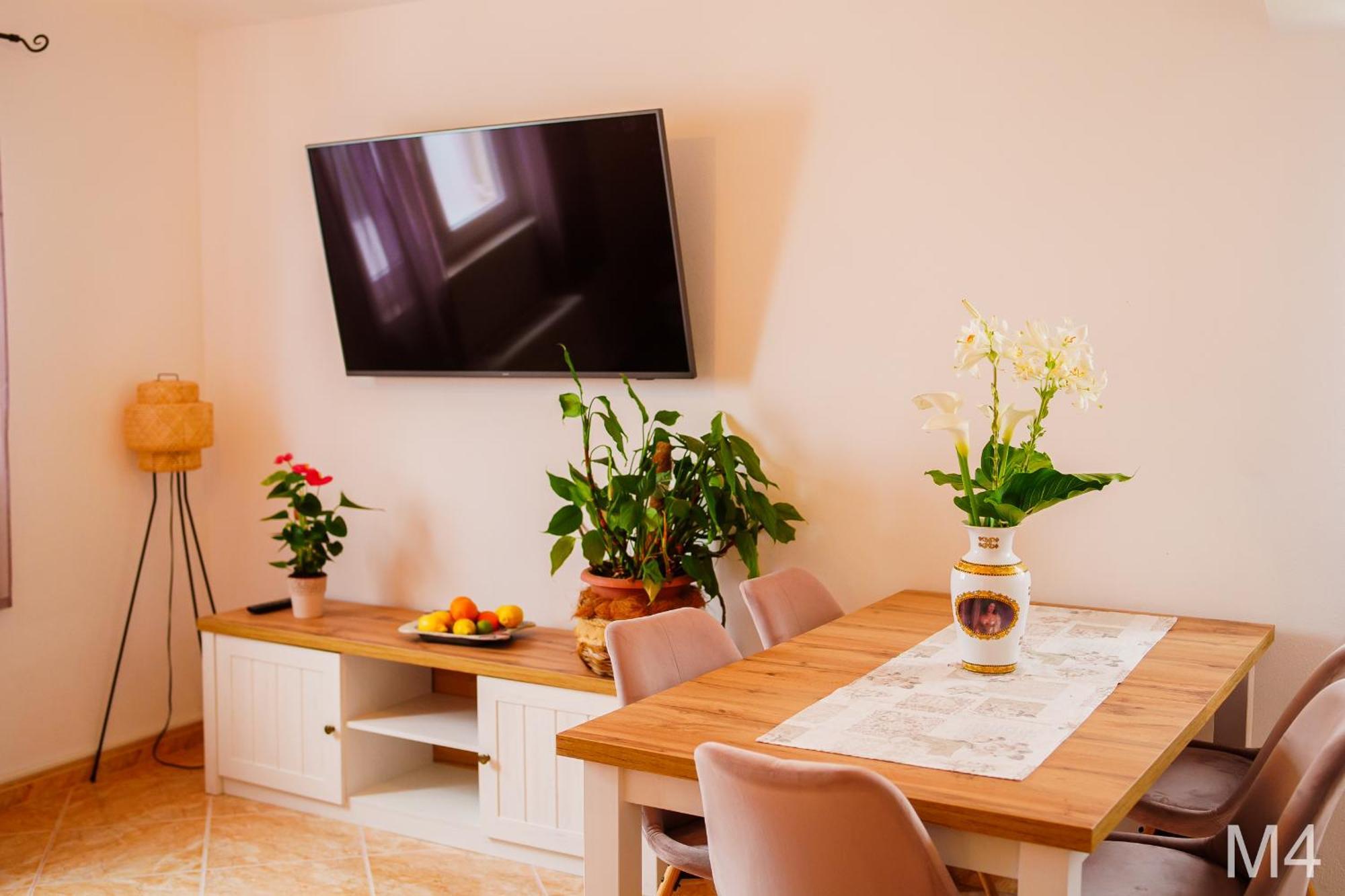 Apartments Horizont 罗戈兹尼察 客房 照片